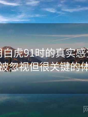 第一次用白虎91时的真实感受：一些容易被忽视但很关键的体验点