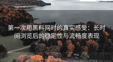 第一次用黑料网时的真实感受：长时间浏览后的稳定性与流畅度表现