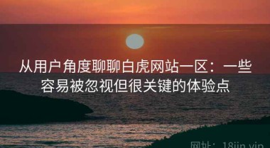 从用户角度聊聊白虎网站一区：一些容易被忽视但很关键的体验点