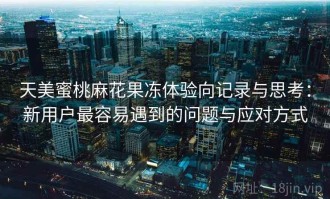 天美蜜桃麻花果冻体验向记录与思考：新用户最容易遇到的问题与应对方式