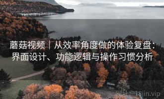 蘑菇视频｜从效率角度做的体验复盘：界面设计、功能逻辑与操作习惯分析