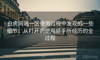 白虎网站一区使用过程中发现的一些细节：从打开到使用顺手所经历的全过程