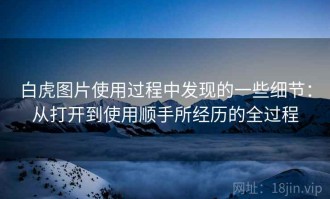 白虎图片使用过程中发现的一些细节：从打开到使用顺手所经历的全过程