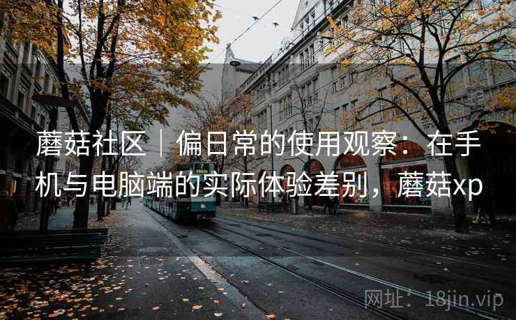 蘑菇社区｜偏日常的使用观察：在手机与电脑端的实际体验差别，蘑菇xp