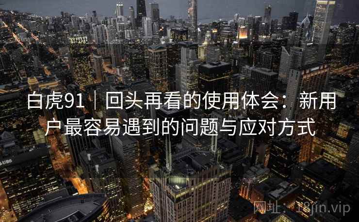 白虎91｜回头再看的使用体会：新用户最容易遇到的问题与应对方式