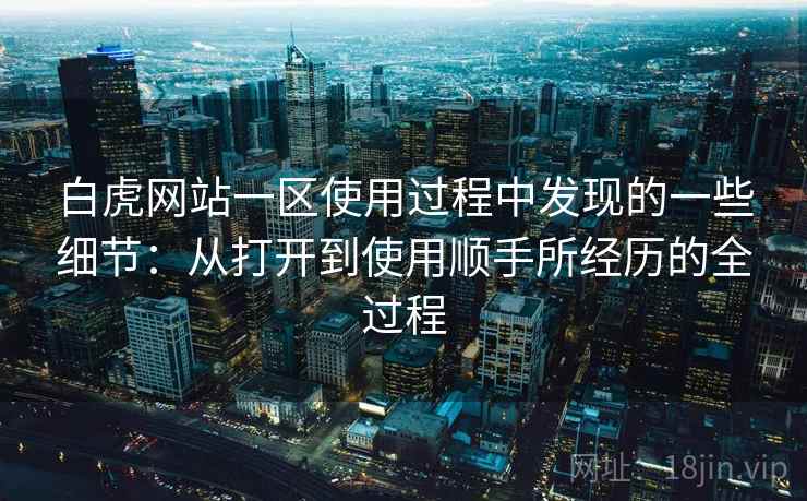 白虎网站一区使用过程中发现的一些细节：从打开到使用顺手所经历的全过程