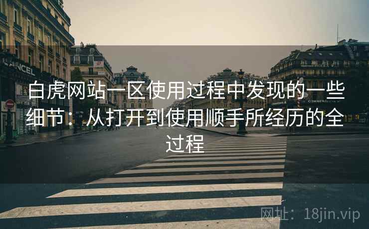 白虎网站一区使用过程中发现的一些细节：从打开到使用顺手所经历的全过程