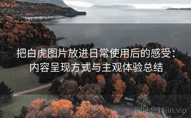把白虎图片放进日常使用后的感受：内容呈现方式与主观体验总结