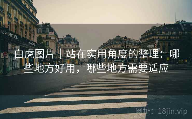 白虎图片｜站在实用角度的整理：哪些地方好用，哪些地方需要适应