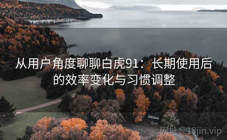 从用户角度聊聊白虎91：长期使用后的效率变化与习惯调整