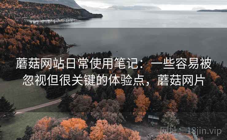 蘑菇网站日常使用笔记:一些容易被忽视但很关键的体验点,蘑菇网片 蘑菇网站日常使用笔记:一些容易被忽视但很关键的体验点,蘑菇网片
