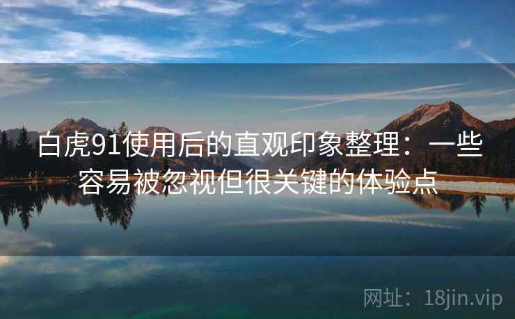 白虎91使用后的直观印象整理:一些容易被忽视但很关键的体验点 白虎91使用后的直观印象整理:一些容易被忽视但很关键的体验点