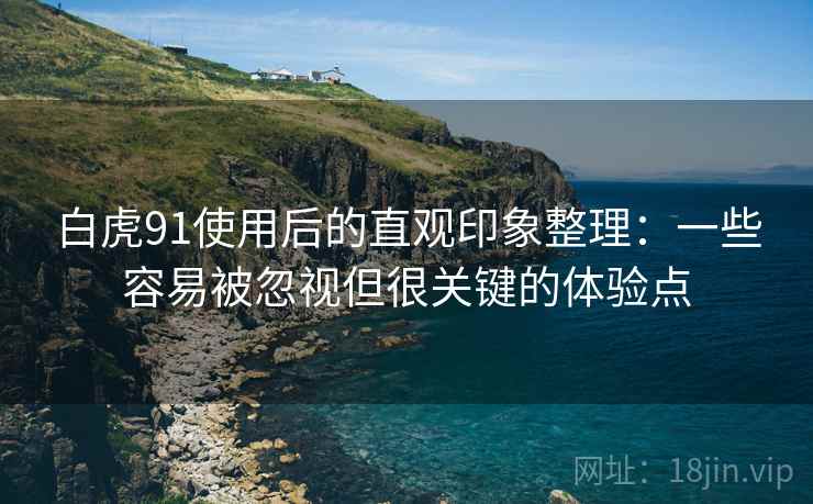 白虎91使用后的直观印象整理:一些容易被忽视但很关键的体验点 白虎91使用后的直观印象整理:一些容易被忽视但很关键的体验点