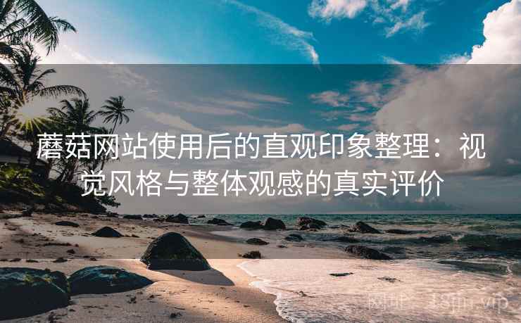 蘑菇网站使用后的直观印象整理:视觉风格与整体观感的真实评价 蘑菇网站使用后的直观印象整理:视觉风格与整体观感的真实评价