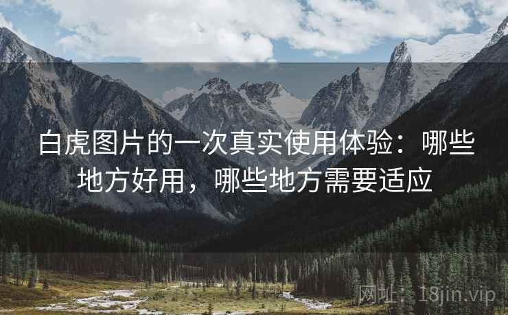 白虎图片的一次真实使用体验:哪些地方好用,哪些地方需要适应 白虎图片的一次真实使用体验:哪些地方好用,哪些地方需要适应