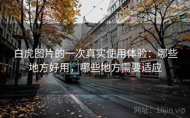 白虎图片的一次真实使用体验:哪些地方好用,哪些地方需要适应 白虎图片的一次真实使用体验:哪些地方好用,哪些地方需要适应